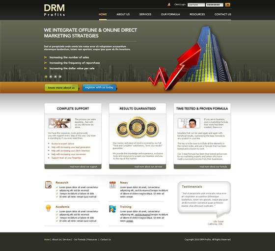 Dubai Web Business: Search Engine Optimization Dubai